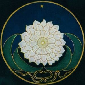 Meet your Posher, Noah